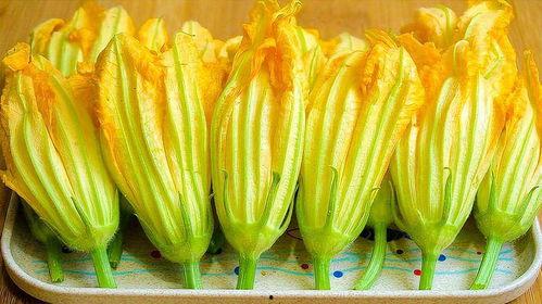 南瓜花下面的小瓜怎么吃,南瓜花下小瓜的多样食法探索