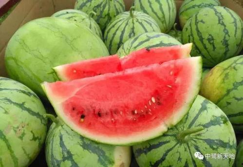 51热门吃瓜今日吃瓜17,今日焦点——吃瓜17大事件盘点