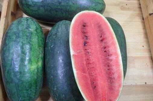 51热门吃瓜今日吃瓜17,今日焦点——吃瓜17大事件盘点