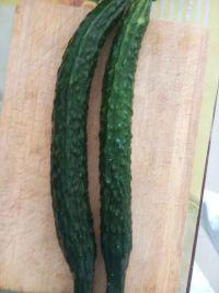 无忧大树吃瓜,揭秘吃瓜群众的快乐生活