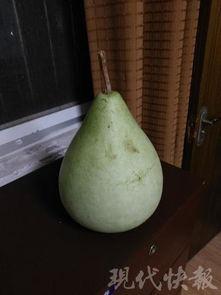 平顶山吃瓜中毒,揭秘夏日美食背后的安全隐患