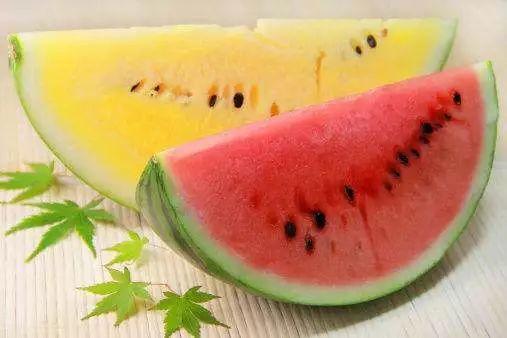 顶级吃瓜视频大全,全网热议！揭秘顶级吃瓜视频大全背后的精彩瞬间