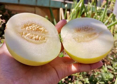 吃瓜甜心分享,娱乐圈幕后那些事儿