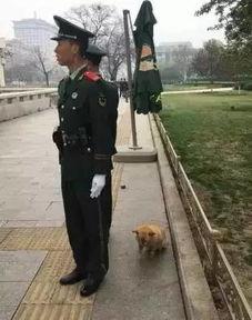 警察吃白瓜,警察叔叔的甜蜜“白瓜”时光