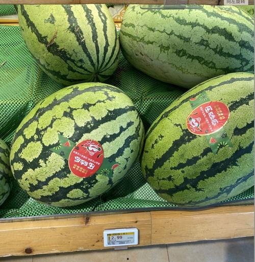 吃小瓜还是吃大瓜,揭秘夏日消暑美食选择